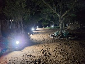 Industrial outdoor electrical lighting installation providing safe and reliable illumination for commercial and industrial facilities.
